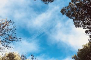 Cielo
